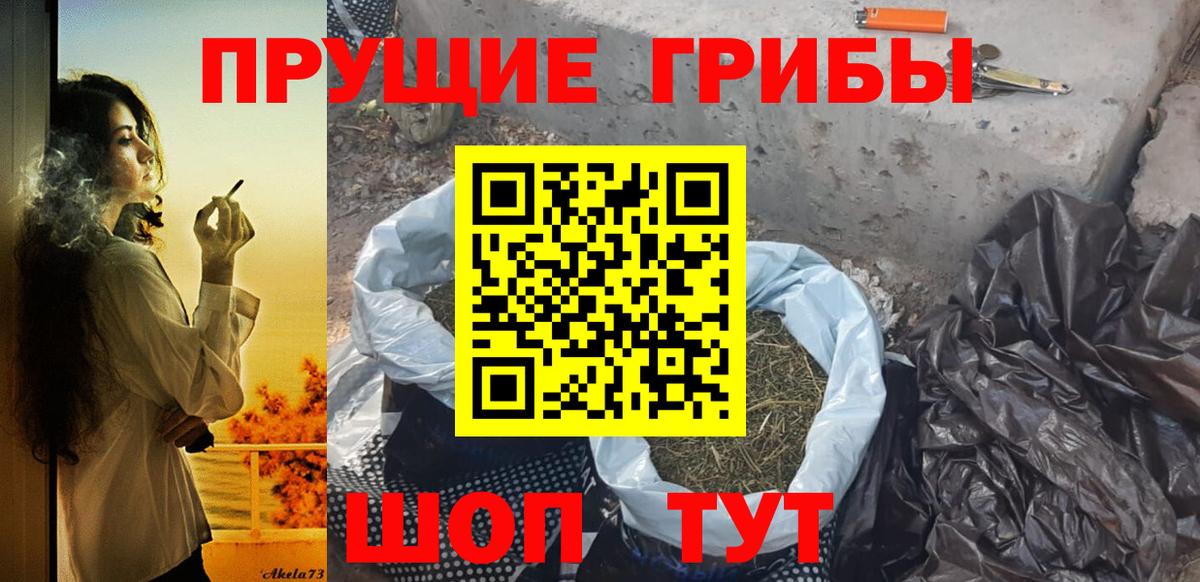 Псилоцибиновые грибы прущие грибы Сегежа