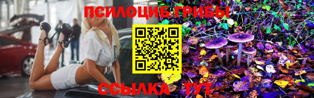 Сегежа  Галлюциногенные грибы мухоморы  Галлюциногенные грибы ЛСД  Вход с VPN 
